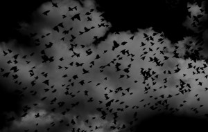 Schema Migration with Hibernate and FlywayDB