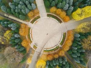 Adding Custom Routes to the WordPress REST API